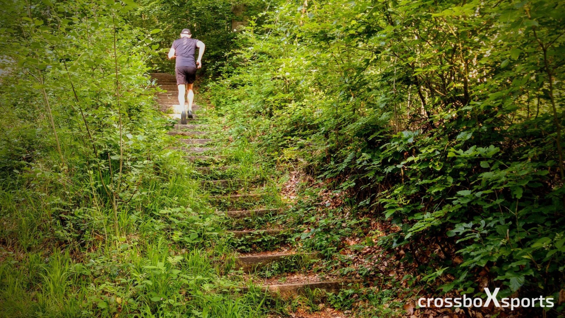 treppenstufen-im-wald-trimmdichpfad-läufer