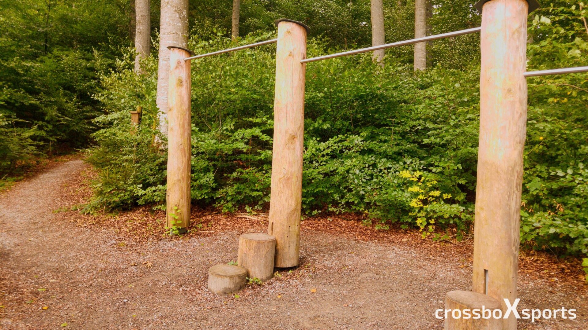 klimmzugstange-trimmdichpfad-Wald