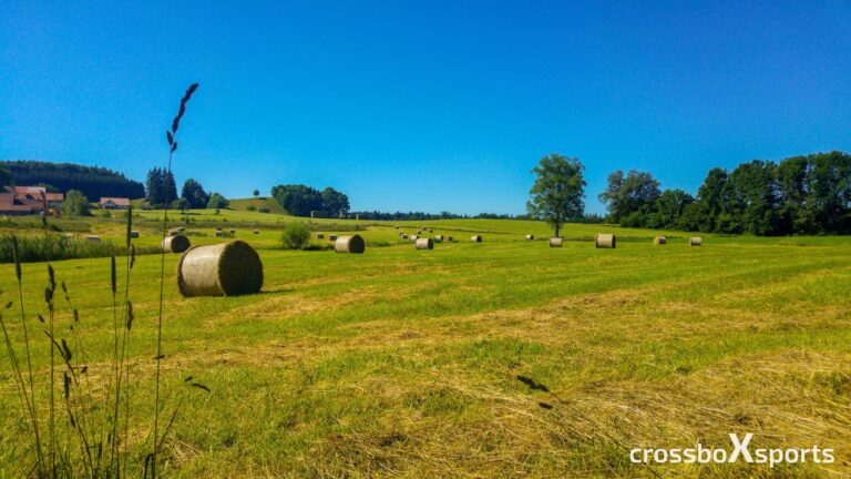 trail-running-heuballen-blauer-Himmel