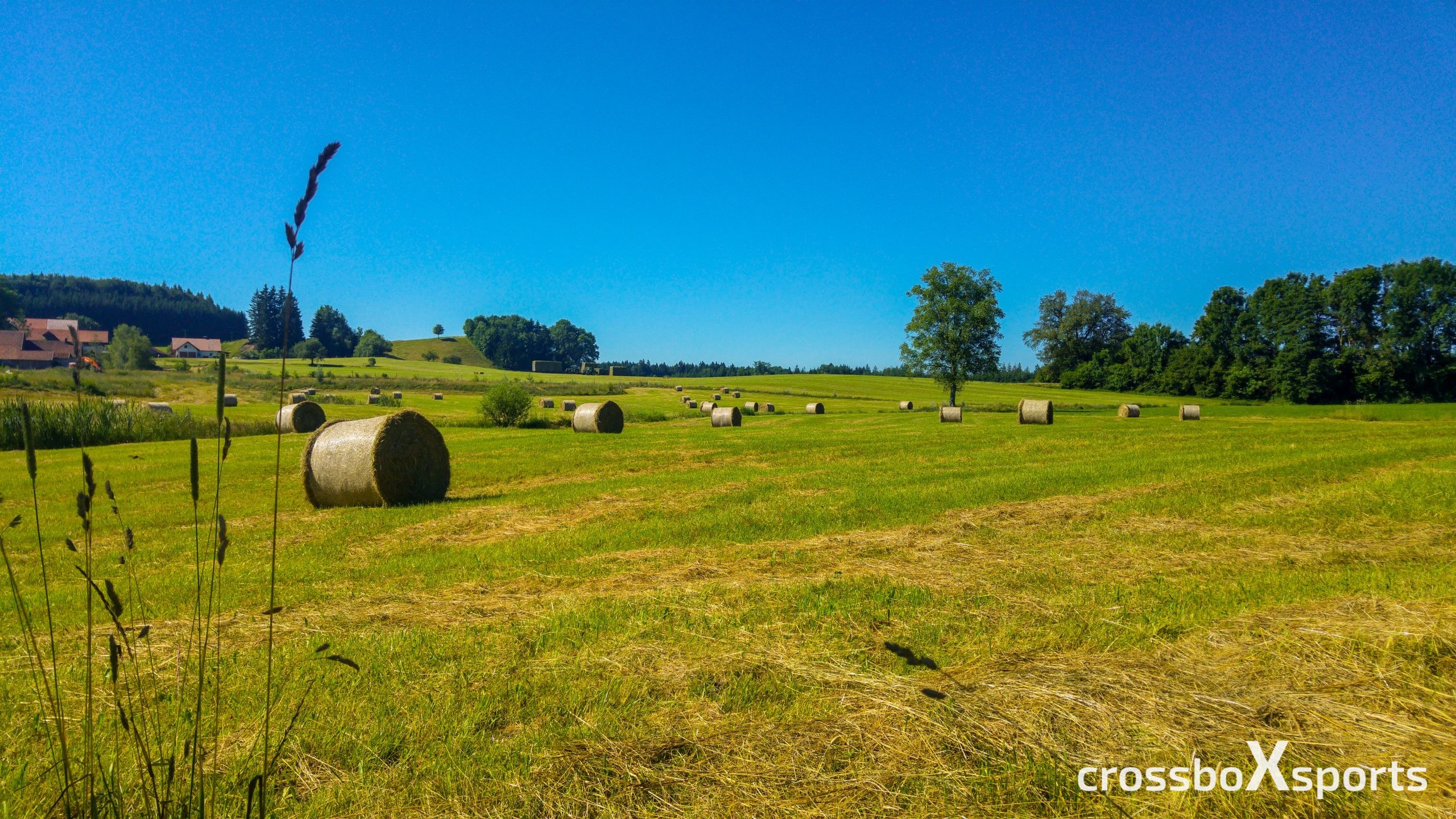 trail-running-heuballen-blauer-Himmel