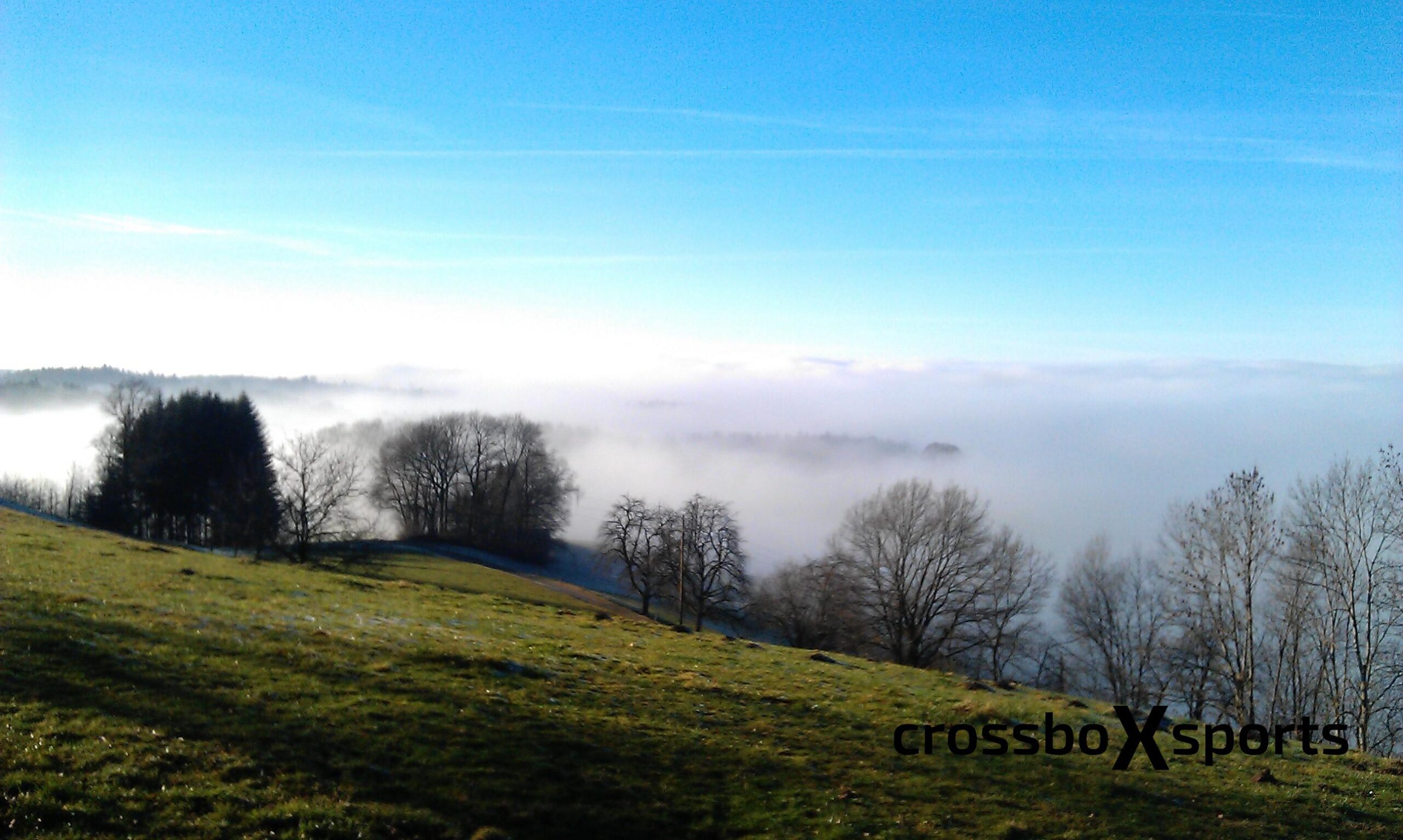 Laufen im Winter - Nebel