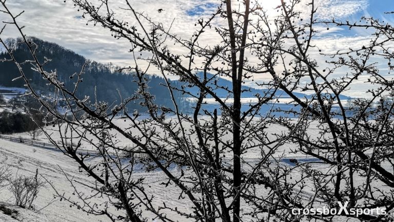 schneebedeckte Winterlandschaft