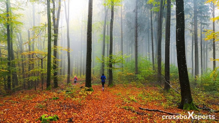 Herbstwald-läufer-laub-grüne-Blätter